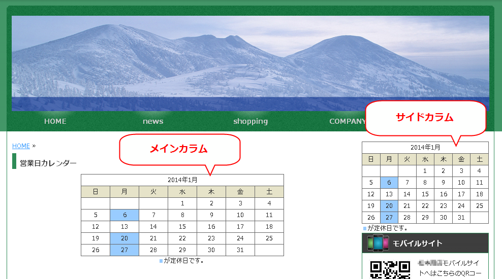 netshop_cal10.png