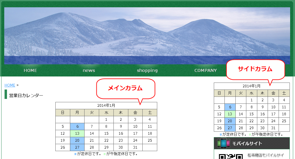 netshop_cal15.png