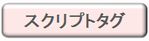 スクリプトタグ.jpg